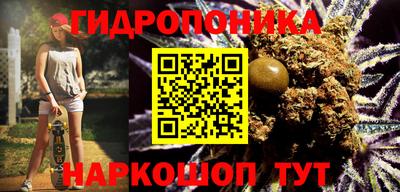 индика Абинск