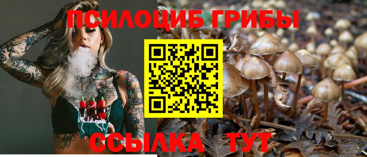 Галлюциногенные грибы MAGIC MUSHROOMS Апатиты