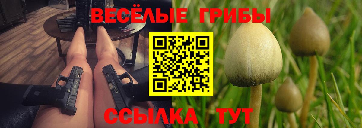 Апатиты  Галлюциногенные грибы мицелий  Псилоцибиновые грибы Psilocybine cubensis  цены   Вход с VPN 